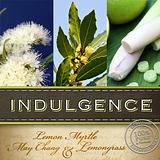 Indulgence Hand and Body Lotion