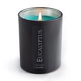 Eucalyptus Simply Soy Candle