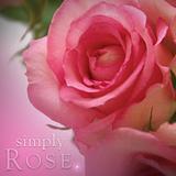 Rose Simply Soy Jar Candle