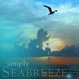 Seabreeze Simply Soy Jar Candle