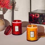 VOLUSPA Goji Tarocco 50hr Candle Decorative Jar